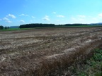 DSCN4208.jpg